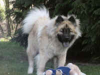 11-05-2011-Ayla-6.jpg (141687 byte)