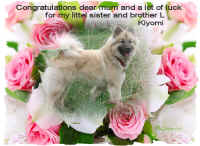 -09-05--kiyomi-Muttertag 2011-1.jpg (119453 byte)