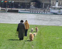 22-04-2010-An der Elbe Dresden.JPG (156007 byte)